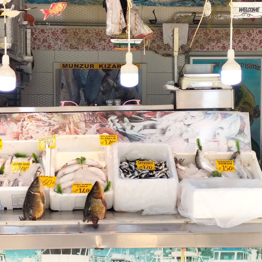 Munzur Balıkçısı 